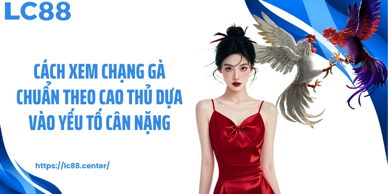 Cách Xem Chạng Gà: Kiến Thức Quan Trọng Theo Chuyên Gia LC88 2 Cách xem chạng gà chuẩn theo cao thủ dựa vào yếu tố cân nặng