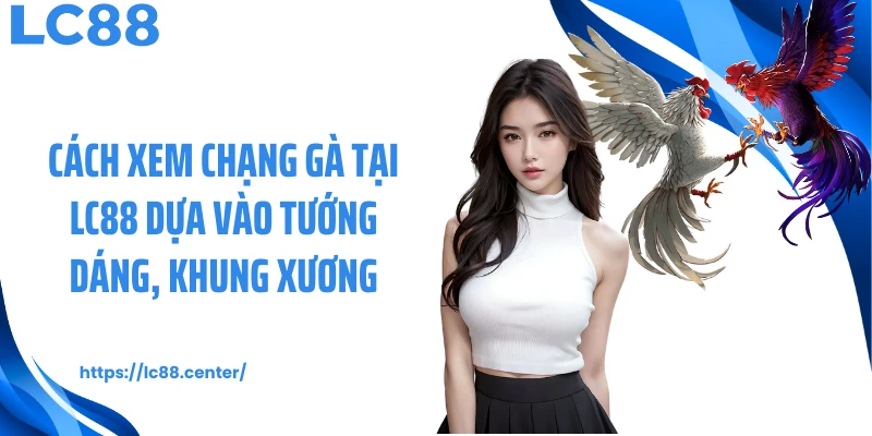 Cách Xem Chạng Gà: Kiến Thức Quan Trọng Theo Chuyên Gia LC88 3 Cách xem chạng gà tại LC88 dựa vào tướng dáng, khung xương