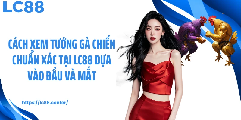 Cách xem tướng gà chiến chuẩn xác tại LC88 dựa vào đầu và mắt
