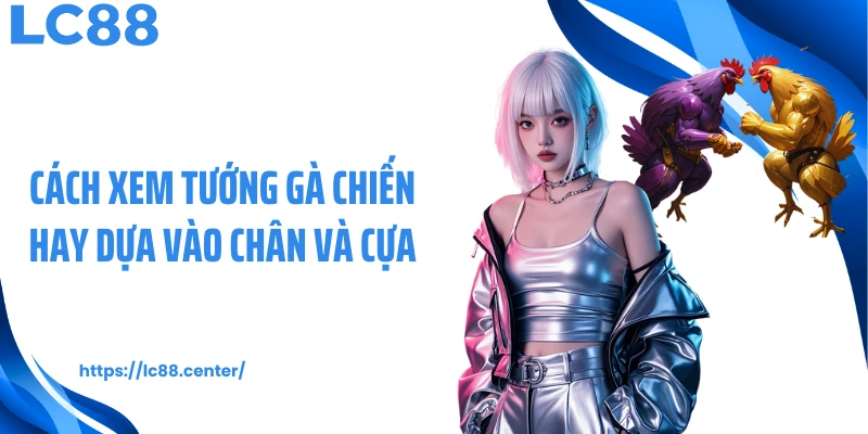 Cách xem tướng gà chiến hay dựa vào chân và cựa