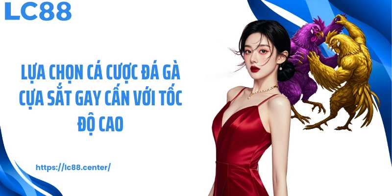 Lựa chọn cá cược đá gà cựa sắt gay cấn với tốc độ cao