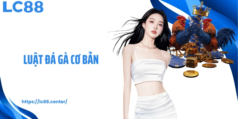 luật đá gà cơ bản