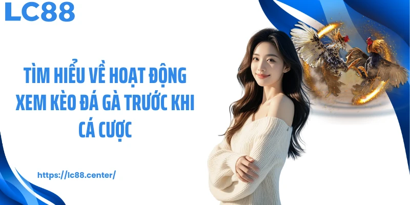 Tìm hiểu về hoạt động xem kèo đá gà trước khi cá cược